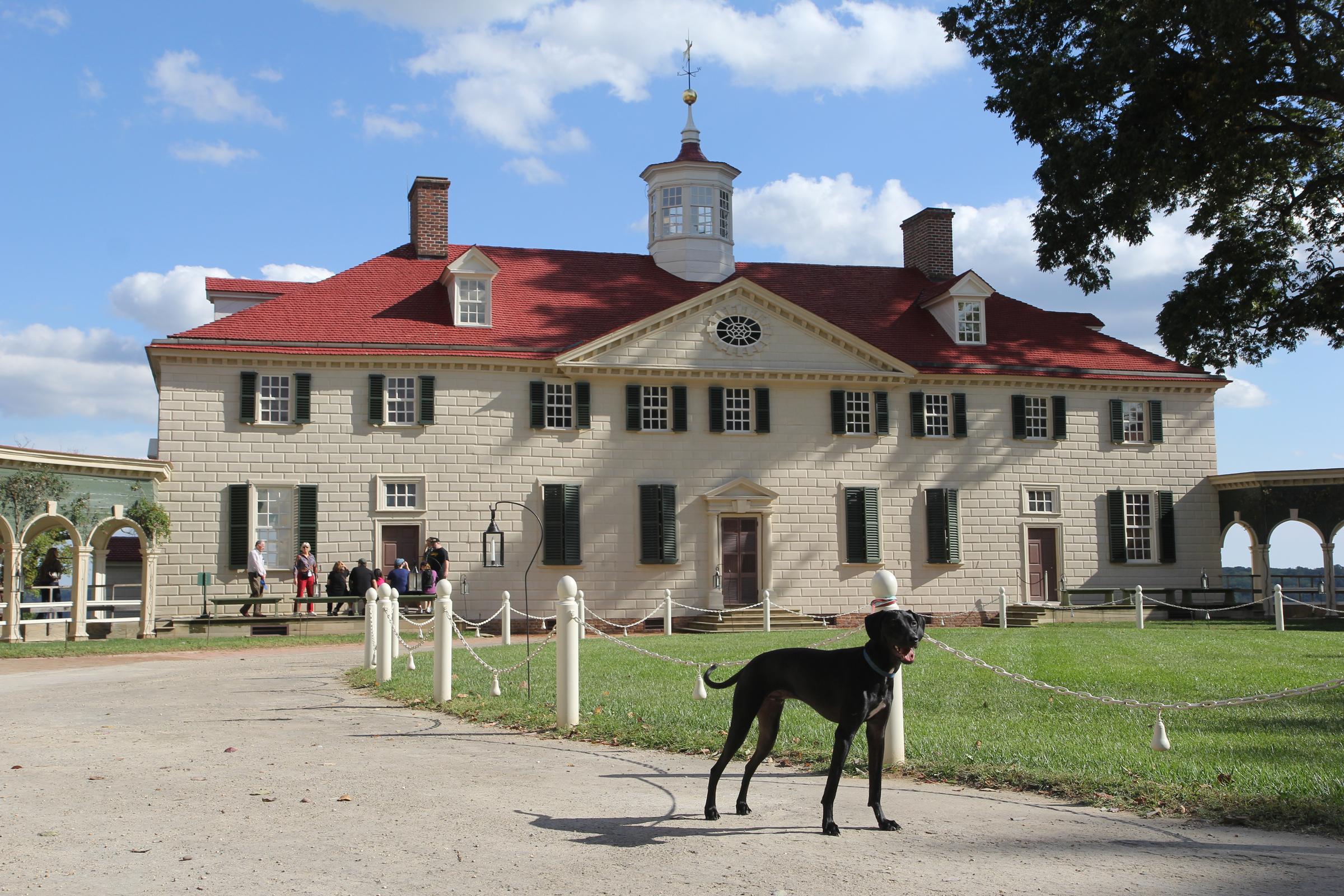 Mt. Vernon