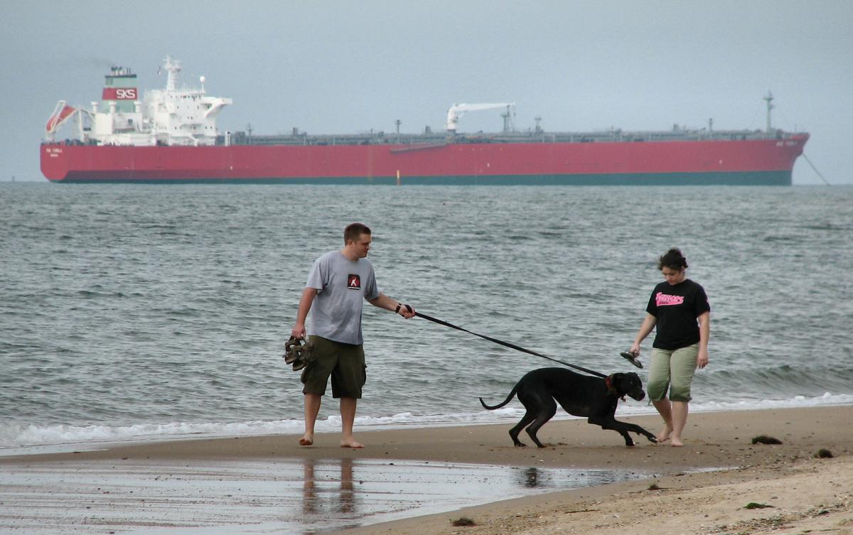 Dog Friendly Virginia Beach, VA - Bring Fido