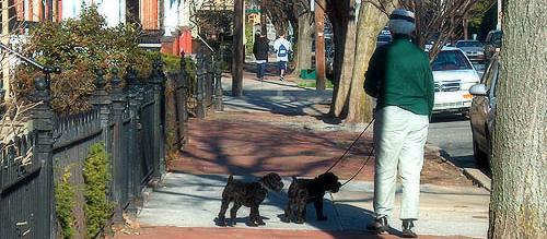 Dog Friendly Lancaster, PA