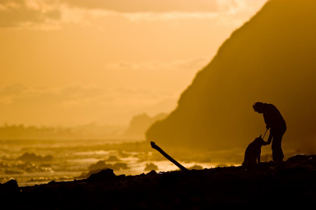 Man and His Dog at Sunset