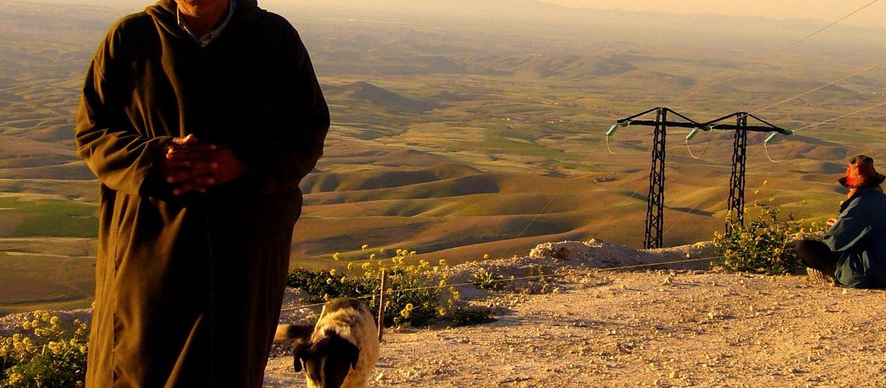 Dog Friendly Morocco