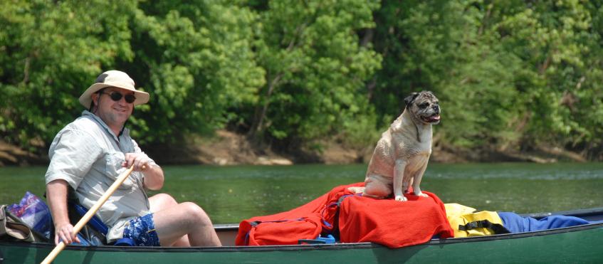 Dog Friendly Harrison, AR