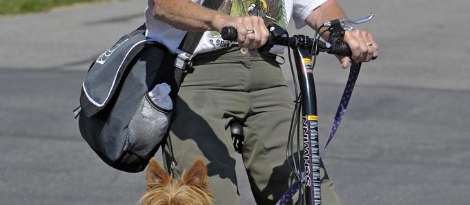 Dog Friendly Blackfoot, ID