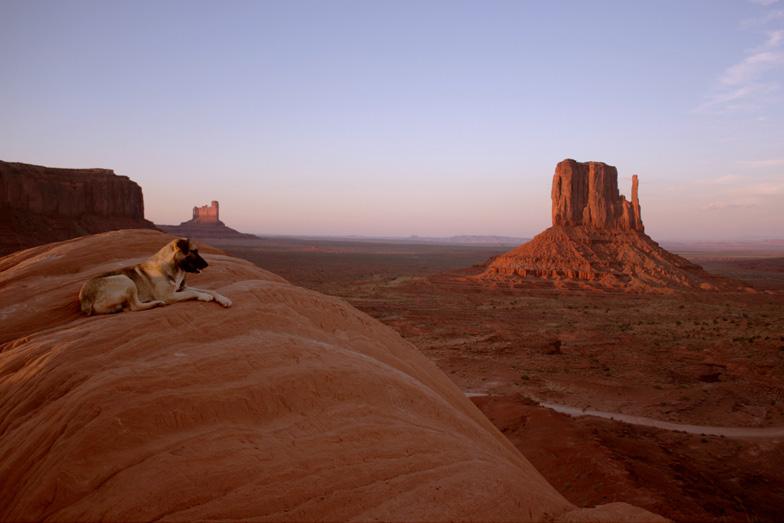 Dog Friendly Monument Valley, UT Bring Fido