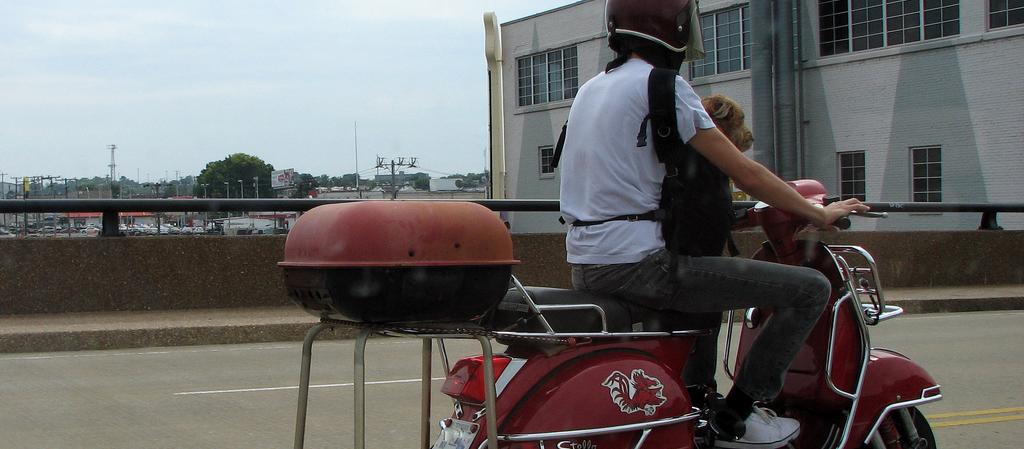 Dog Friendly Knoxville, TN