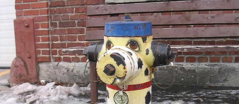 Dog Friendly Quebec