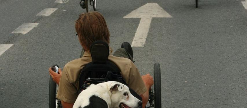 Dog Friendly Finland