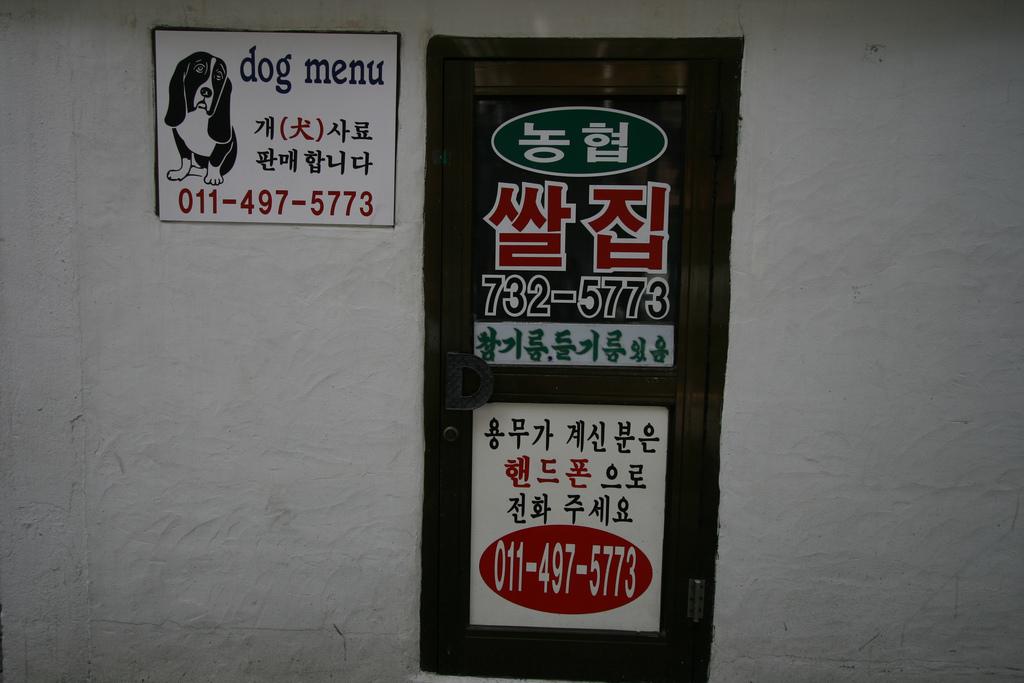 Dog Friendly South Korea Bring Fido