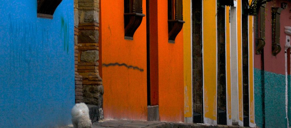 Dog Friendly Colombia