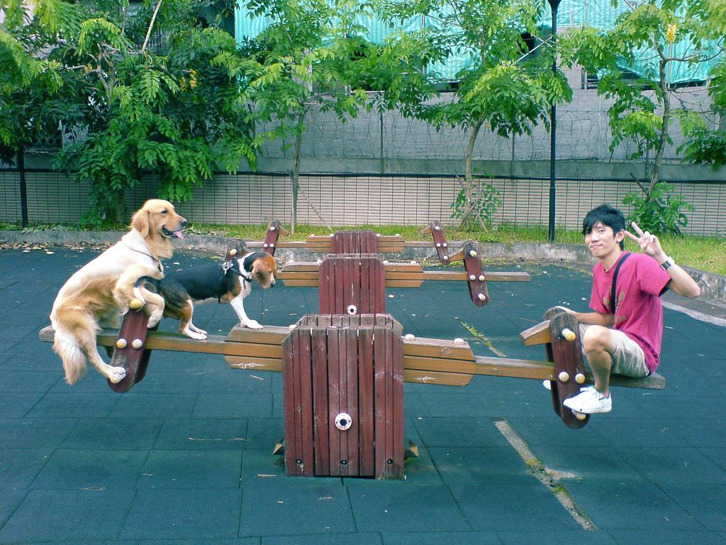 Dog Friendly Taiwan Bring Fido - 