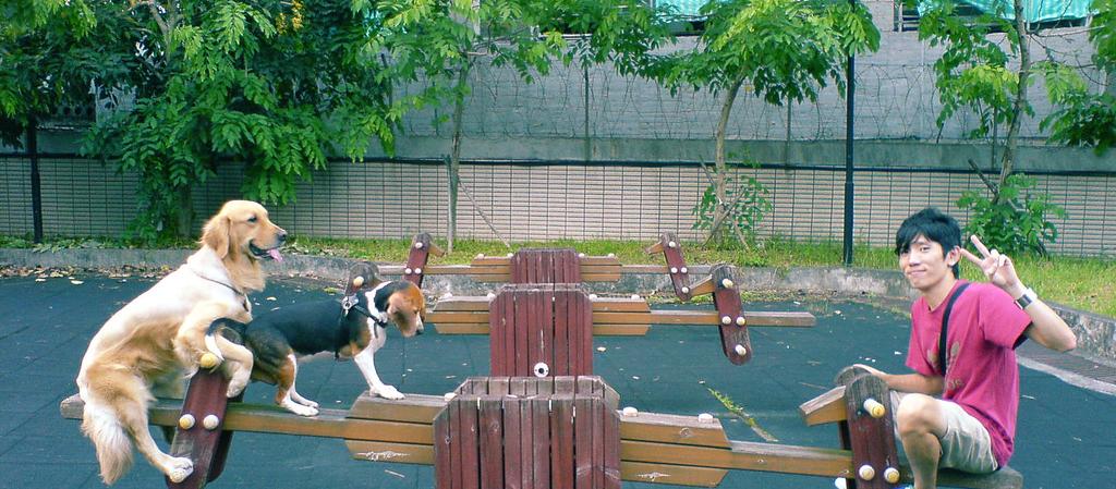 Dog Friendly Taiwan