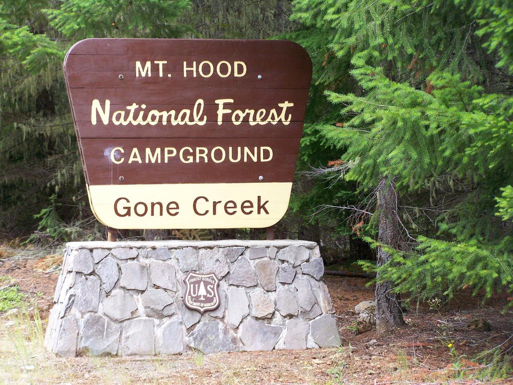 Pet Friendly Gone Creek Campground