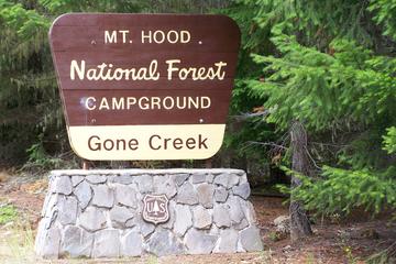 Pet Friendly Campgrounds In Oregon Bringfido