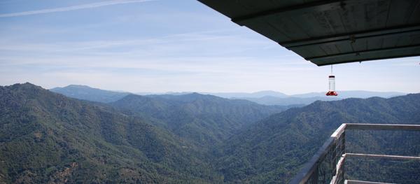 Great view from the Hirz Mountain Lookout. Great view from the Hirz Mountain Lookout.