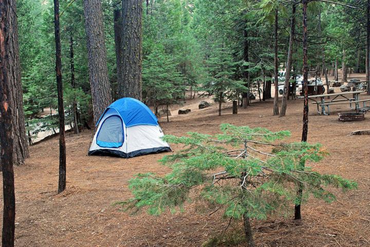 Pet Friendly Hodgdon Meadow Campground