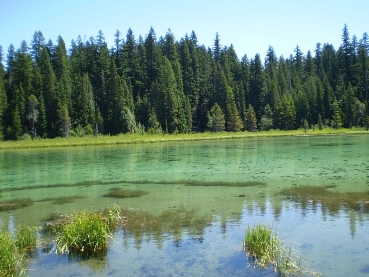 Clackamas Lake Campground Pet Policy