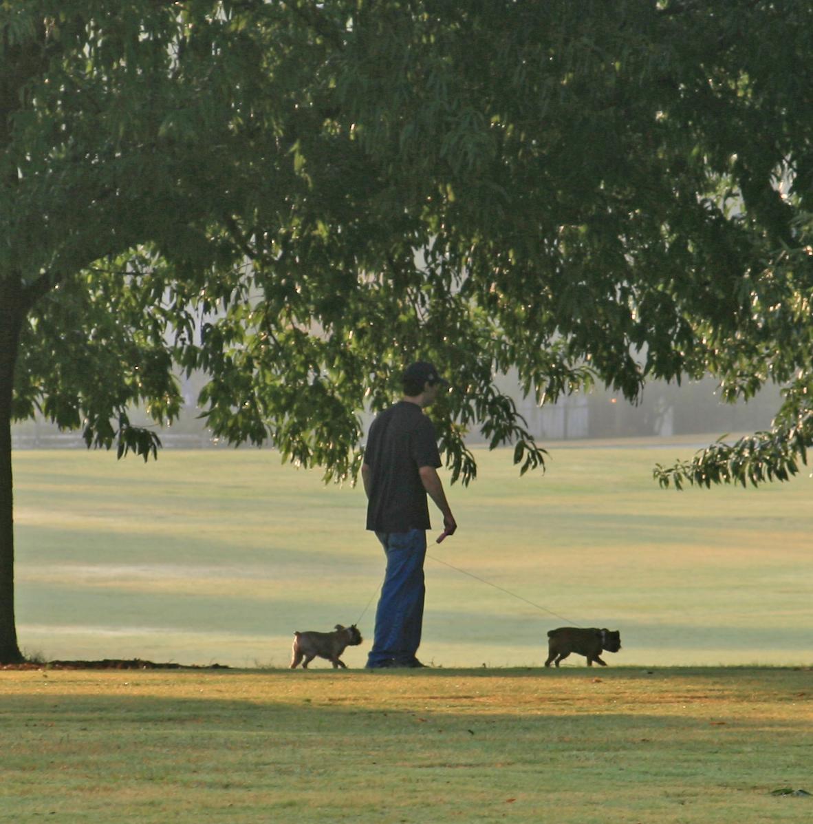 Piedmont dog sale park