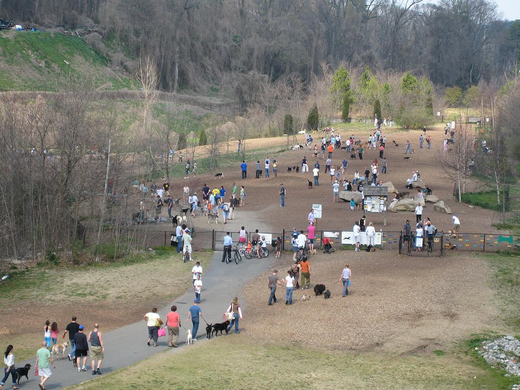 This New Orlando Bar Is Also A Dog Park And We Want To Live There Dog Park Dog Beer Orlando