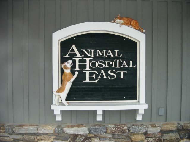 animal hospital south asheville north carolina