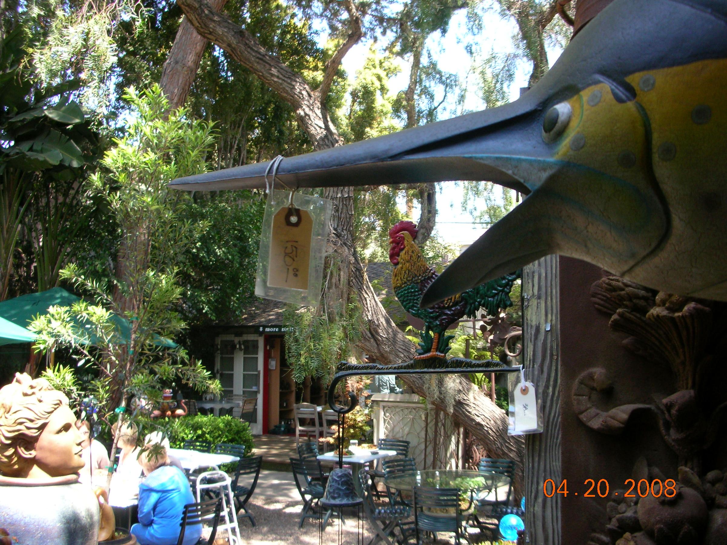 Madison Square Garden Cafe Is Pet Friendly
