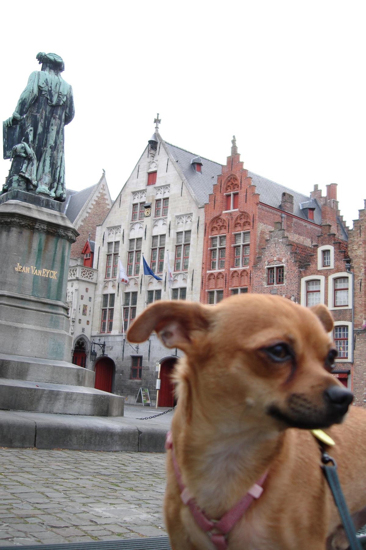 pet travel belgium