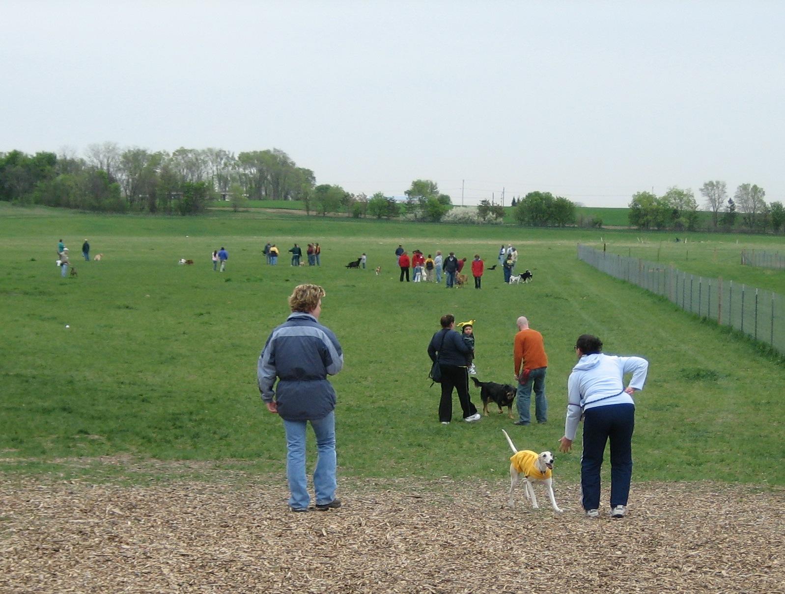 Pet Friendly Paw Print Park