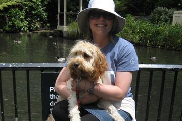 Dog Friendly Activities In Wellington Nz Bringfido