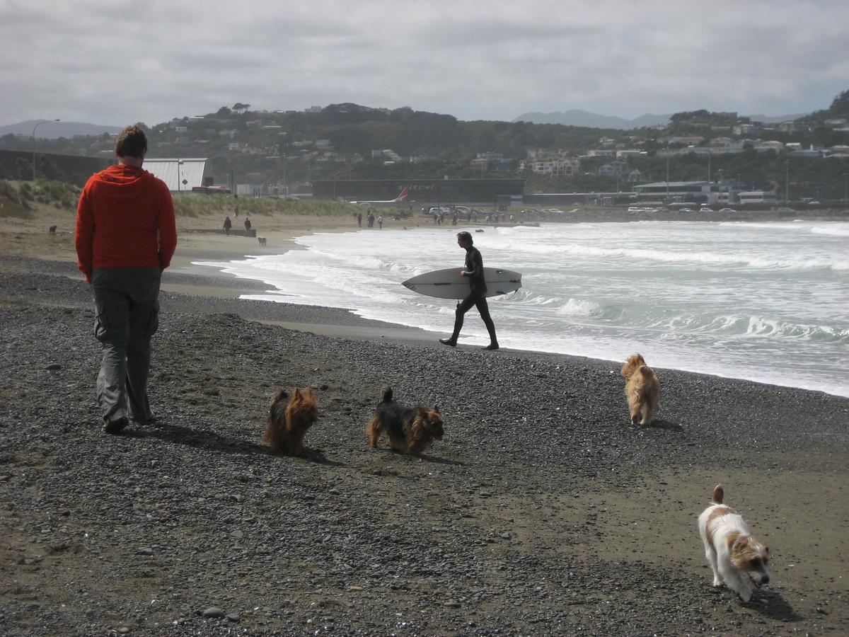 number one shoes lyall bay hours