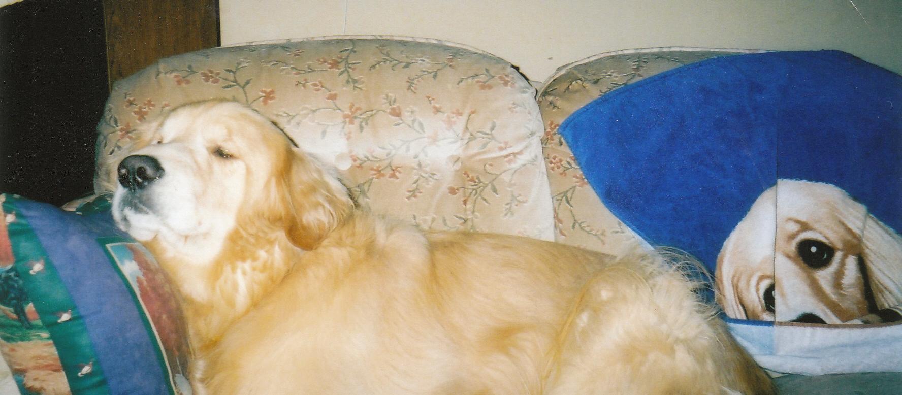 Dog Friendly Watertown, WI