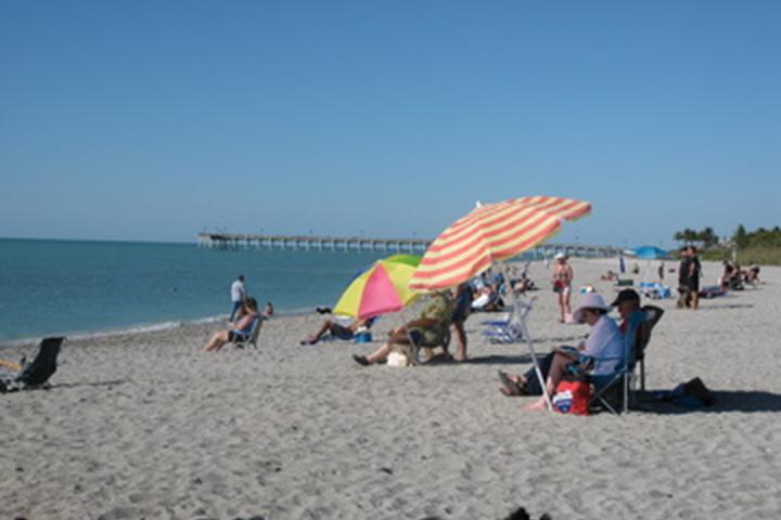 Venus Beach Florida >> Dog Friendly Beaches In Venice Fl Bring Fido Venus Beach Florida >> Dog Friendly Beaches In Venice Fl Bring Fido