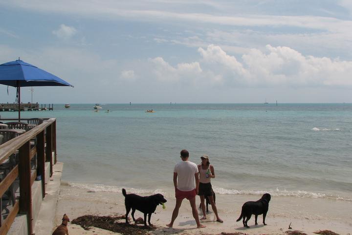 Pet Friendly Key West Dog Beach