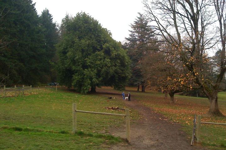 Off-leash Dog Parks In Portland Or - Bringfido Off-leash Dog Parks In Portland Or - Bringfido
