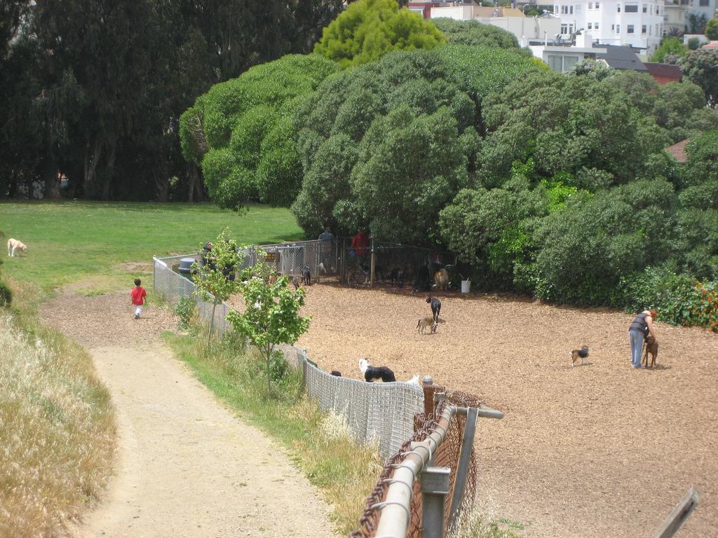 Corona Heights Dog Play Area