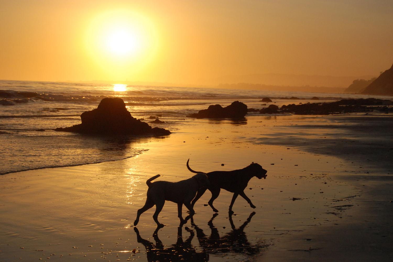 Arroyo Burro Beach — Santa Barbara