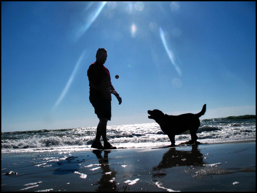 Dog Friendly Beaches in Myrtle Beach, SC - BringFido