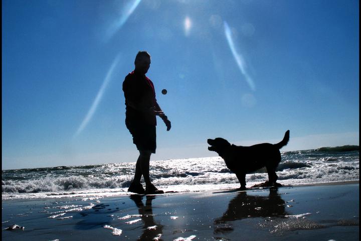 Dog Friendly Activities In Garden City Sc Bringfido