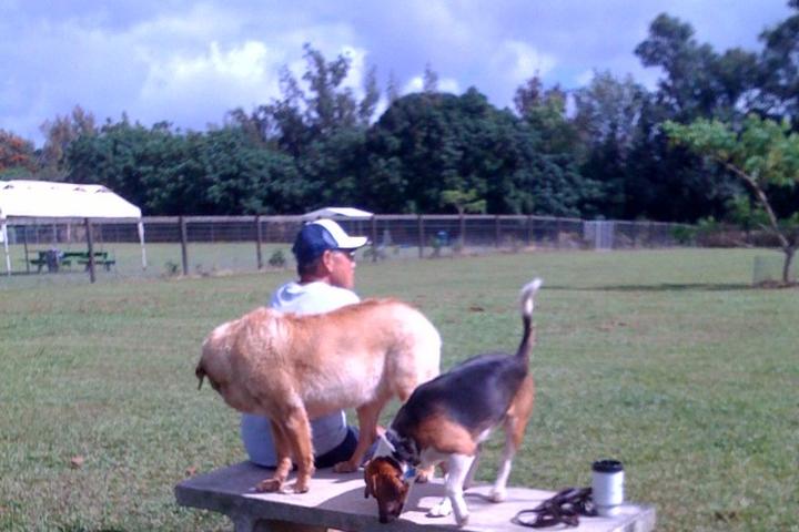 Pet Friendly Kauai Humane Society Dog Park