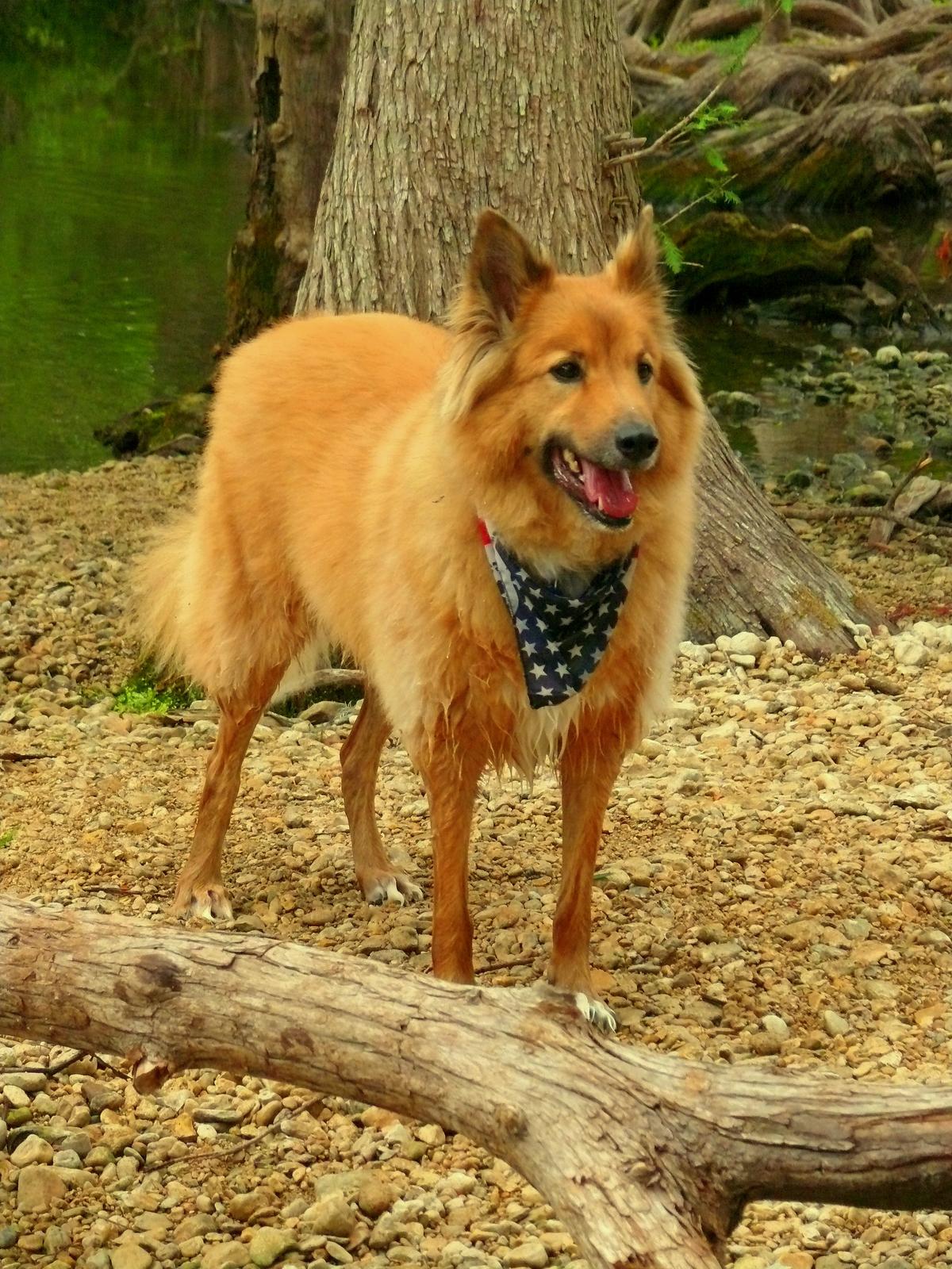 Buckley at Cibolo Creek