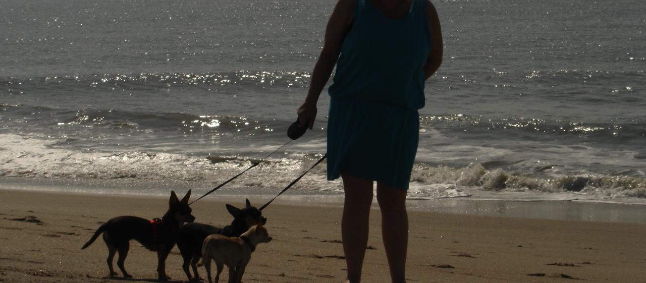 Dog Friendly Edisto Beach, SC