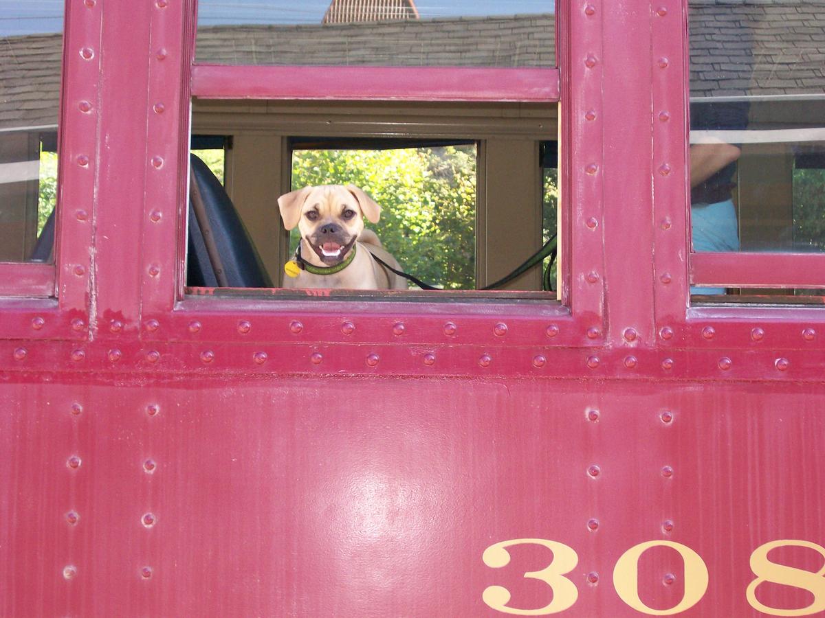 Dog Friendly Jim Thorpe, PA - Bring Fido