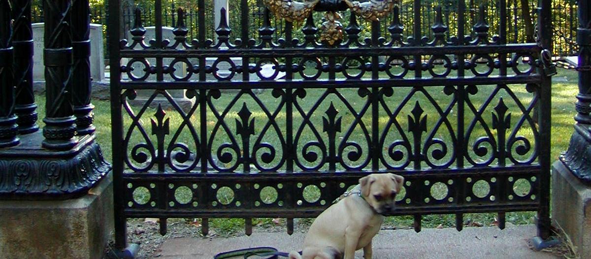 Dog Friendly Charlottesville Va Bringfido