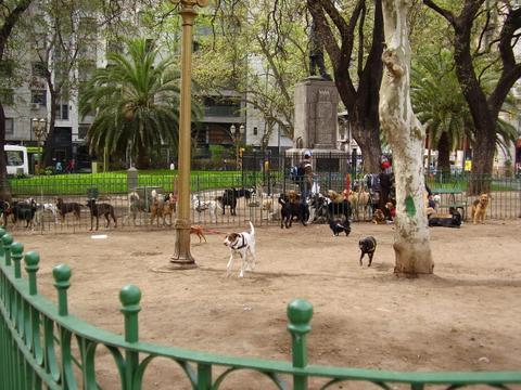 Pet Friendly Avenida de Mayo Dog Park