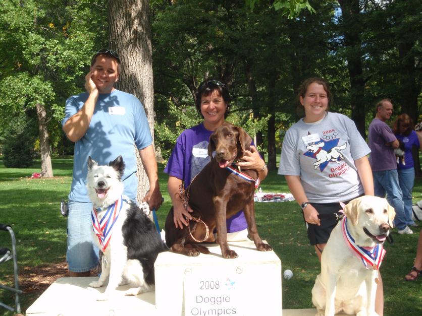 Dog Friendly Fort Collins Co Bringfido