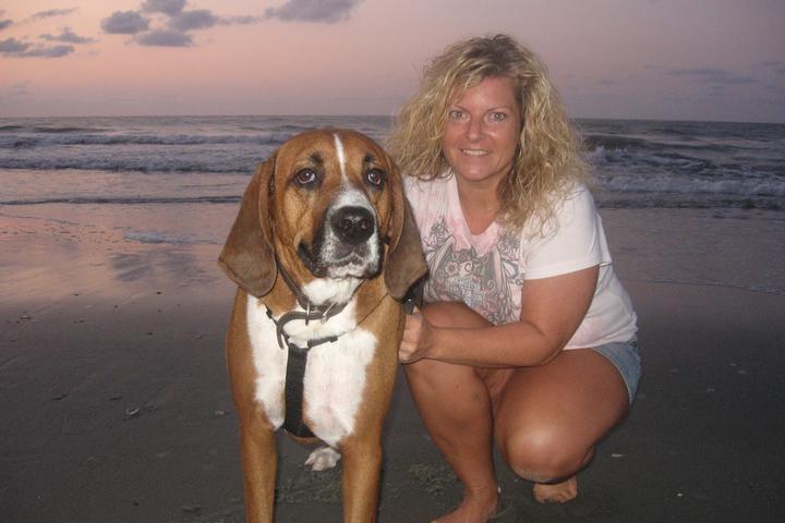 Pet Friendly Myrtle Beach (Dogs on Beach Policy)