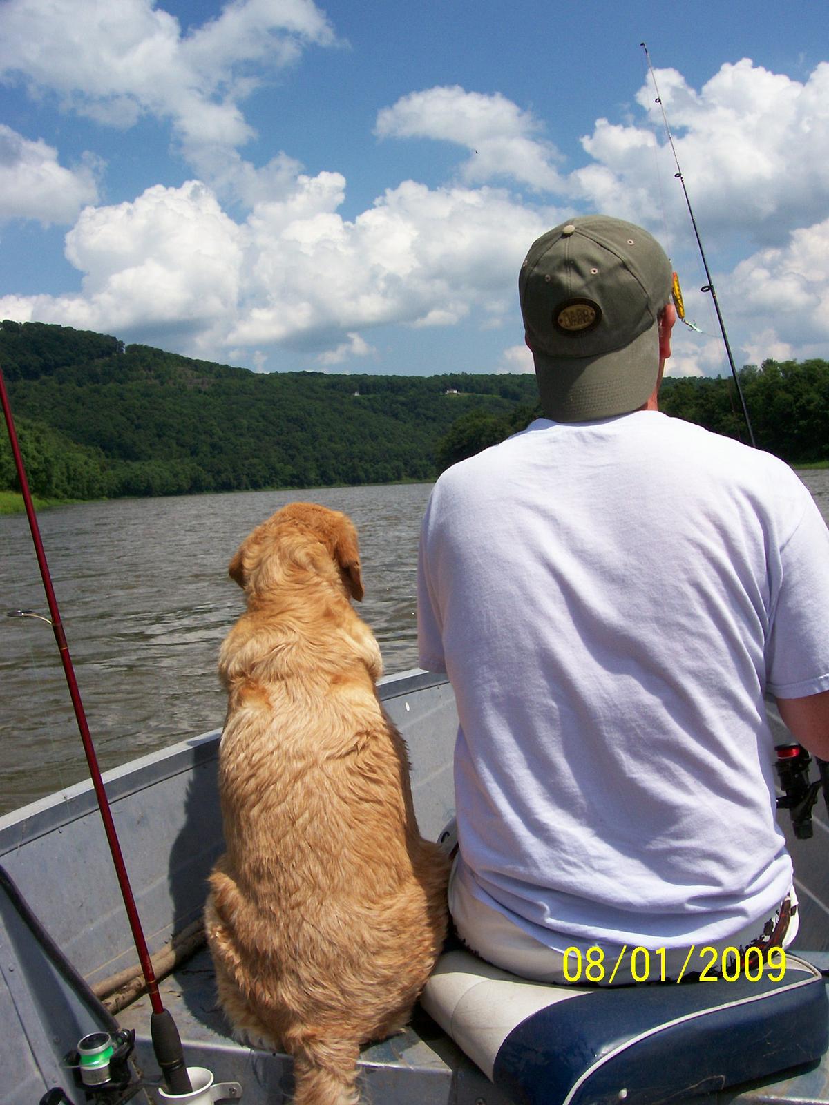 Dog Friendly Bradford, PA BringFido