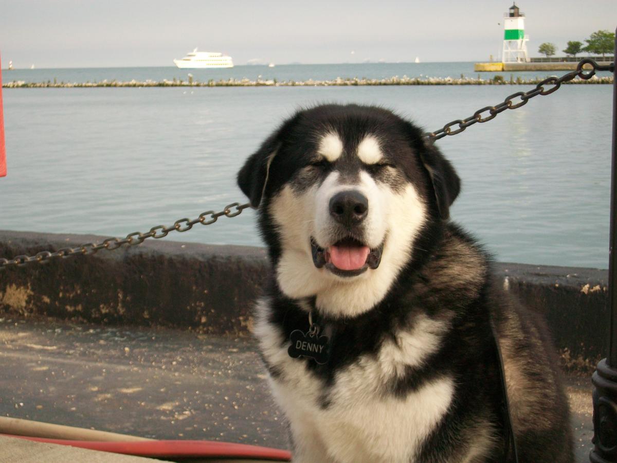 Denny by the Pier.