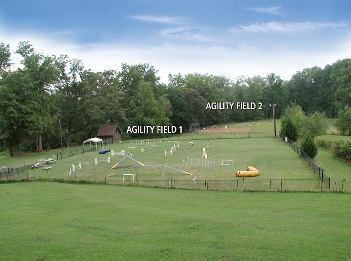 Dog Agility Training Center