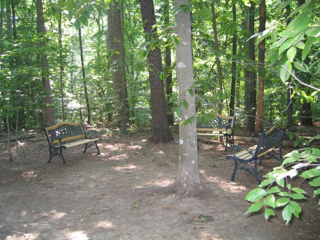 "Stan's Spot" is a quieter section of the park