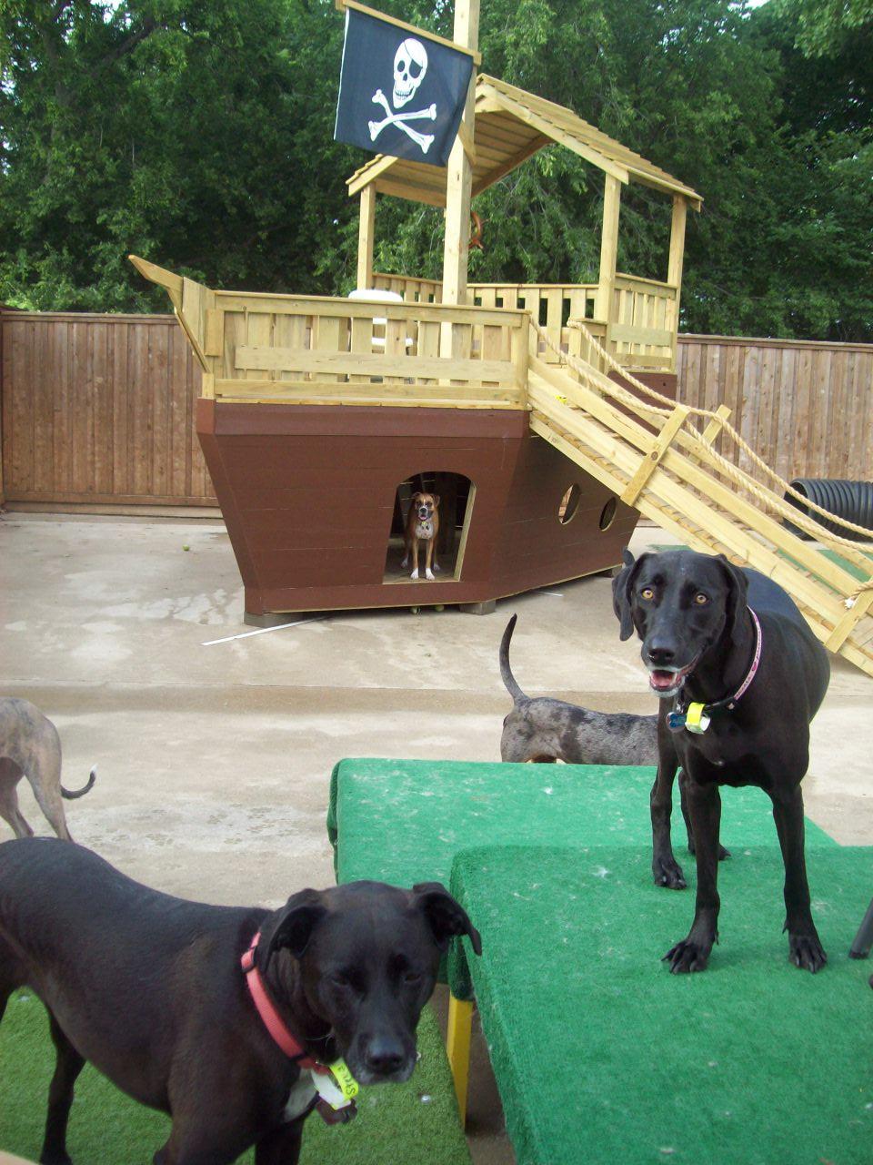 Pet Friendly Benny's Dog Resort