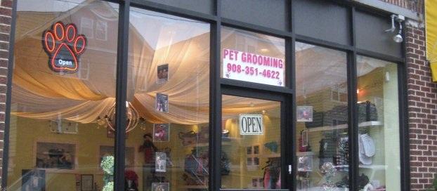 Dog Friendly Elizabeth, NJ
